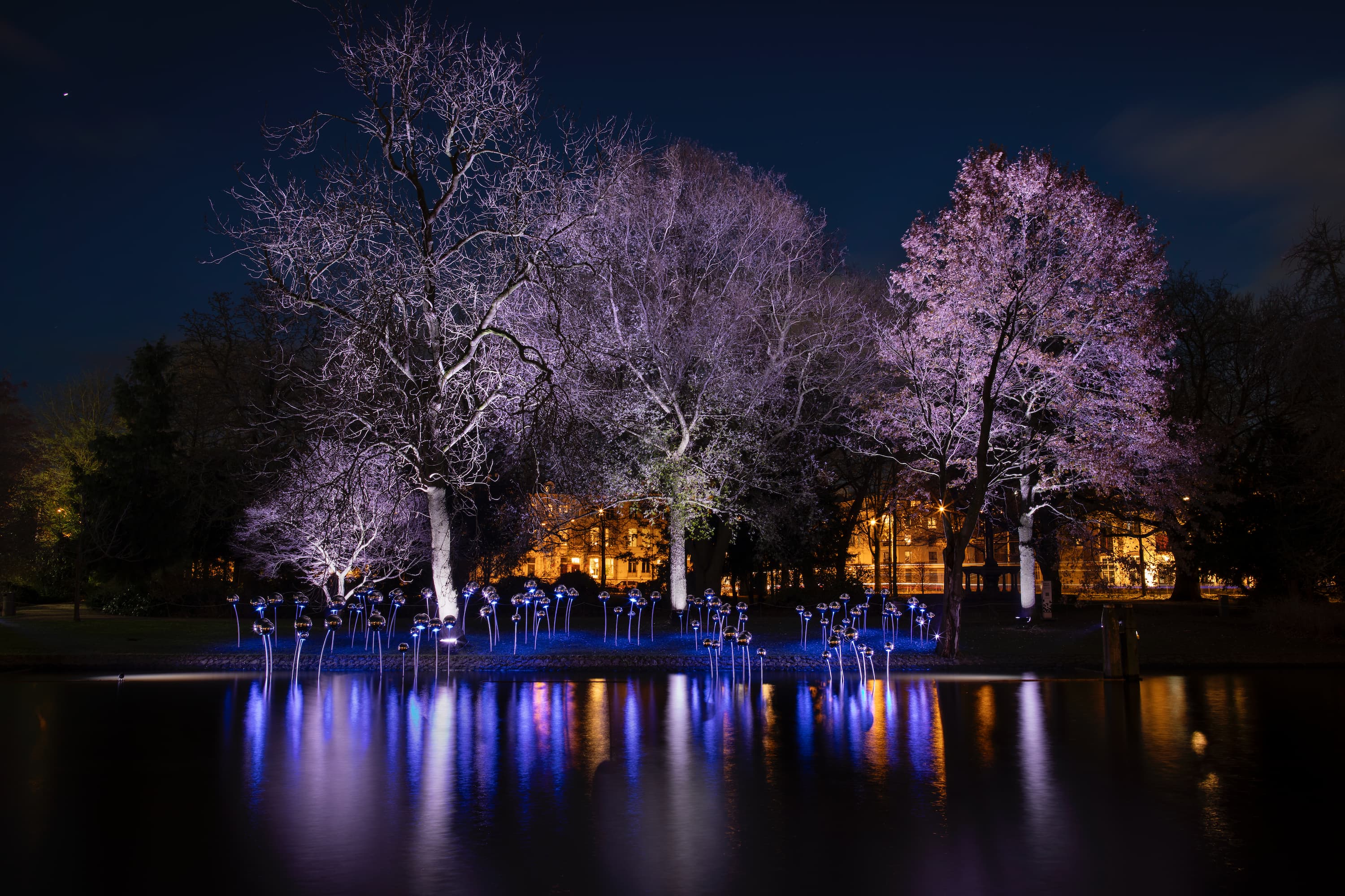  Pool of Dreams at Amsterdam Light Festival 2023-2024 